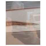 Limited Edition Brooke Morrison Carrot Print in Oak Frame 18x10