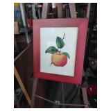 Red Framed Botanical Apple Print 10 and a half by 11 and a half