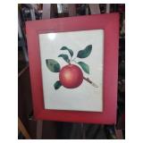 Botanical Apple Print in Red Frame 10 and a half by 11 and a half
