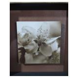 Cherry Blossom Black & White Photo in Wood Frame