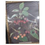Decorative Cherry Branch Botanical Print