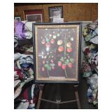 Framed Botanical Strawberry Art Print