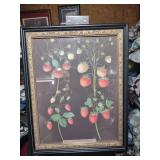Framed Botanical Strawberry Art Print