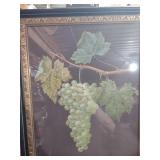 Decorative Framed Grape Vine Art Print
