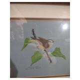 Carolina Wren Bird Print by Ruth Graham Mosley
