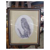 Framed Owl Art Print in Oval Mat