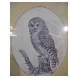 Framed Owl Art Print in Oval Mat