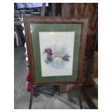 Framed Duck Print by Stephen Crayston