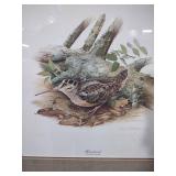 American Woodcock Wildlife Print by Don Whitlatch