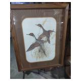 Flying Pintail Ducks Framed Print by Murphy