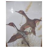 Flying Pintail Ducks Framed Print by Murphy