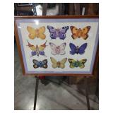 Framed Butterfly Baby Collection Wall Art