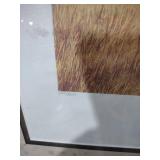 Something of Interest - African Lions Limited Edition Print by Russell Johnson