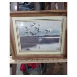 Framed Duck Landing Print