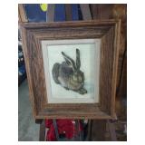 Albrecht DÃ¼rer Young Hare Print in Oak Frame