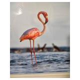 Framed Pink Flamingo Ocean Photography Print