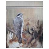 Morten Solberg Goshawk Watercolor Print 1991