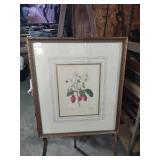Framed Botanical Strawberry Print by Soicher-Marin