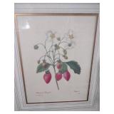 Framed Botanical Strawberry Print by Soicher-Marin