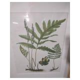 Botanical Fern Print in Natural Wood Frame