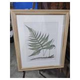 Framed Botanical Fern Print