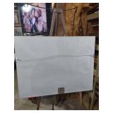 Japanese Ink Wash Seascape with Seagulls