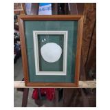 Framed sand dollar Wall Art