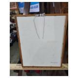 Framed sand dollar Wall Art