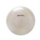GoFit Stability Ball with Pump (65cm; White)  GF-65BALL - Retail: $197