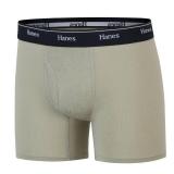 Hanes Boys
