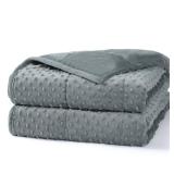 Alomidds Weighted Blanket (60x80,15lbs Queen Size - Grey), Weighted Blankets for Adults and Kids, Cooling Breathable Soft and Comfort Minky, Heavy Blanket Microfiber Material with Glass Beads