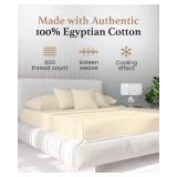 Good Sleep Bedding Twin XL Fitted Sheet - 800 TC Extra Long Twin Sheets for Dorm, 100% Egyptian Cotton, Soft & Breathable XL Twin Fitted Sheets Only, 16 Inch Twin XL Deep Pocket Fitted Sheets - Ivory