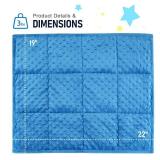 Wemore Minky Dot Weighted Blanket 3 lbs, Soft Cozy Weighted Lap Blanket for Travel and Napping, Small Weighted Blanket Slate Blue 19 x 22 inches