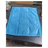 Wemore Minky Dot Weighted Blanket 3 lbs, Soft Cozy Weighted Lap Blanket for Travel and Napping, Small Weighted Blanket Slate Blue 19 x 22 inches