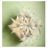 Minka Lavery Flower Child 12-in W 1 -Light Satin Gold Bohemian/global Wall Sconce - Retail: $119