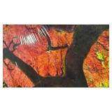 3â x 2â Epic Graffiti 