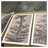 Set of 3 Framed Tree Study Prints - Retail: $150