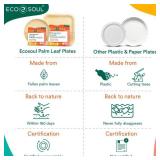 Eco Soul 100 Percent Compostable Palm Leaf Square Plates