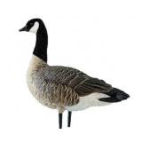 Full Body Canada Goose Decoy Oversized