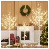 $110 Outdoor Lighted Birch Tree LED Lighted Set of 3, 4/6/8 ft