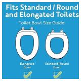 $49 E-Z Lock Raised Toilet Seat with Armrests