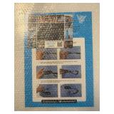 $55 BPS New Zealand Shaka Body Board for All Waves - Lightweight