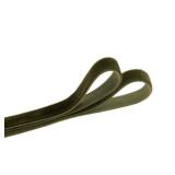 QIANF Vintage Moss Green Velvet Ribbon Christmas Ribbon for Gift Wrapping Crafts Christmas Tree Ornaments Garland Decorations, 3/8 Inch X 25Yd