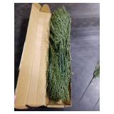 Hananona 40 Pcs Artificial Cedar Picks Faux Cedar Branches Fake Cypress Stems Plastic Pine Greenery Christmas Picks and Sprays DIY Accessories for Crafts Wreath Holiday Home Decor (40, Green)