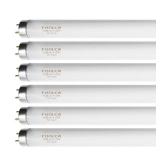 18 Inch F15T8/CW T8 15W Fluorescent Light Bulb Cool White Compatible for Philips GE F15T8/SP41 Replacement Bulb G13 Base 6 Count