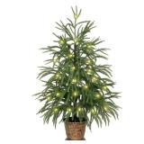 XmasExp 3ft Norfolk Pine Tree with Lights Artificial Faux Potted Christmas Tree for Front Porch Indoor Outdoor Decor