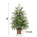 XmasExp 3ft Norfolk Pine Tree with Lights Artificial Faux Potted Christmas Tree for Front Porch Indoor Outdoor Decor