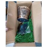 XmasExp 3ft Norfolk Pine Tree with Lights Artificial Faux Potted Christmas Tree for Front Porch Indoor Outdoor Decor