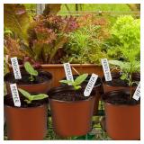 Bluckincle 100 Pcs Plant Nursery Pots, 6 Inch Large Plant Seedling Pots with Labels Plastic Plant Flower Pots with Drainage Holes Indoor Outdoor for Succulent Cutting Transplanting - Retail: $18