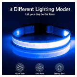 Vizpet LED Dog Collar, Light Up Dog Collar Adjustable USB Rechargeable Super Bright Safety Light Glowing Collars for Dogs(Medium,Blue)